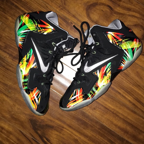 Nike Other - Nike Lebron 11s Everglades